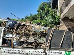 Best Hoarding Cleanup  in Lake Mary Jane, FL